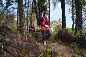 BIB: 
                            <button type="button" onclick="openModal(18964730)" class="btn btn-primary btn-sm float-right btn-popup" data-toggle="modal" data-target=".modal-high-quality">
                        <i class="fas fa-shopping-cart"></i> Add to Cart
                    </button>
                                            <button type="button" onclick="isThisMe(18964730, true)" class="btn btn-success btn-sm float-right btn-popup btn-isme hidden" data-toggle="tooltip" data-placement="bottom" title="นี่คือรูปของคุณใช่ไหม คลิกที่นี่เพื่อเอาเข้าอัลบั้ม">
                        <i class="fas fa-plus"></i> Add to album
                    </button>
                    <button type="button" onclick="isThisMe(18964730, false)" class="btn btn-warning btn-sm float-right btn-popup btn-isnotme hidden">
                        <i class="fas fa-ban"></i> Remove from album
                    </button>